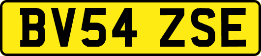 BV54ZSE