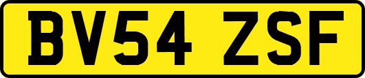 BV54ZSF
