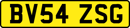BV54ZSG