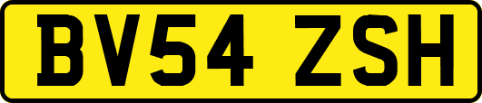 BV54ZSH