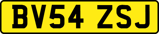 BV54ZSJ