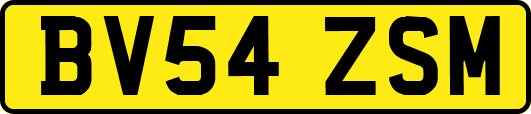 BV54ZSM