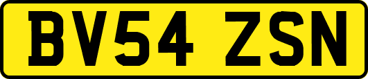 BV54ZSN
