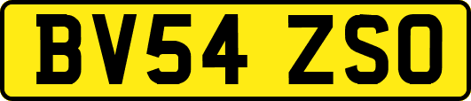 BV54ZSO