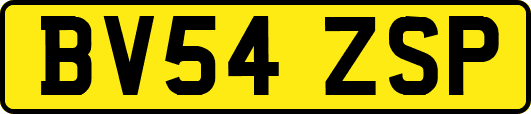 BV54ZSP