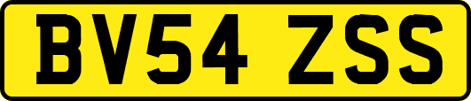 BV54ZSS