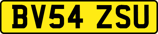 BV54ZSU