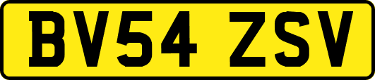 BV54ZSV
