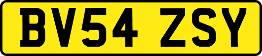 BV54ZSY
