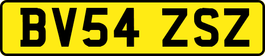 BV54ZSZ