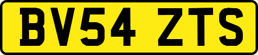 BV54ZTS