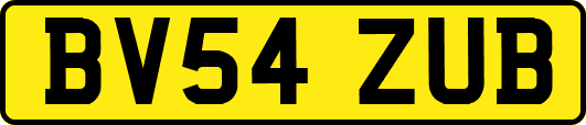 BV54ZUB