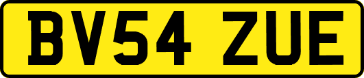 BV54ZUE