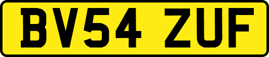 BV54ZUF