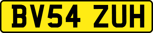 BV54ZUH