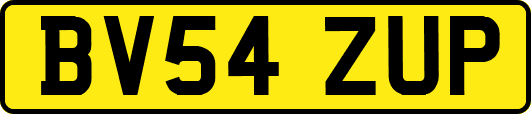 BV54ZUP