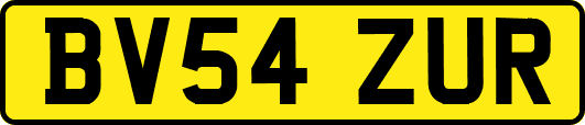 BV54ZUR