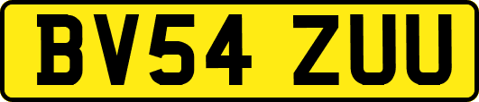 BV54ZUU