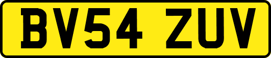 BV54ZUV