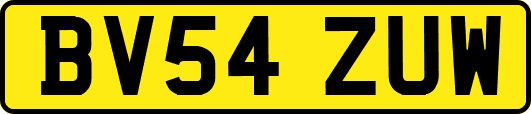 BV54ZUW