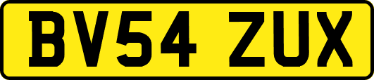 BV54ZUX