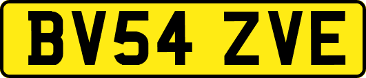 BV54ZVE