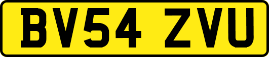 BV54ZVU