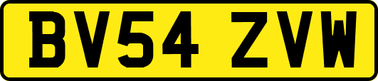 BV54ZVW