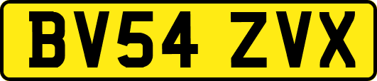 BV54ZVX