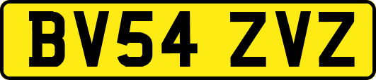 BV54ZVZ