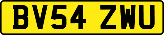BV54ZWU