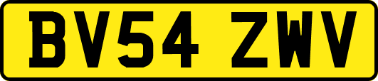 BV54ZWV