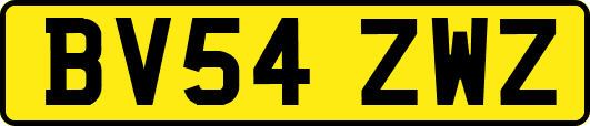 BV54ZWZ