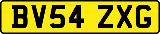 BV54ZXG