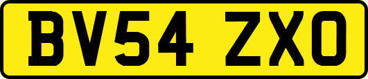 BV54ZXO