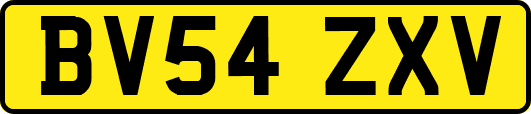 BV54ZXV