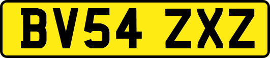 BV54ZXZ