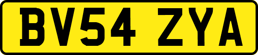 BV54ZYA