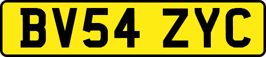 BV54ZYC