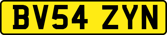 BV54ZYN