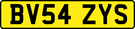 BV54ZYS