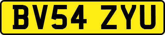 BV54ZYU