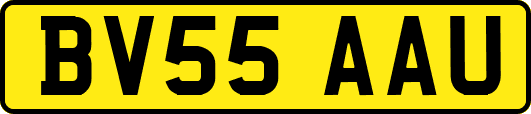 BV55AAU