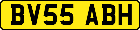 BV55ABH