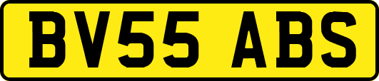 BV55ABS