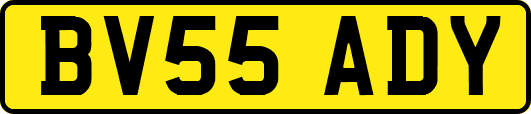 BV55ADY