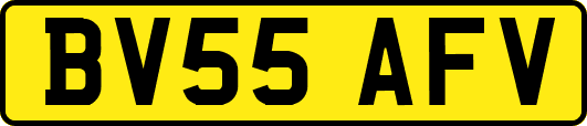 BV55AFV