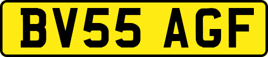 BV55AGF