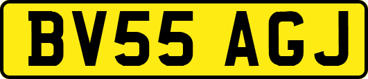 BV55AGJ