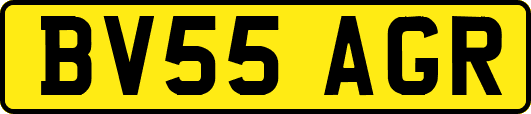BV55AGR